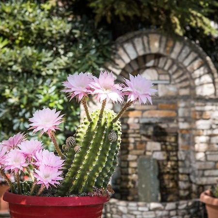 Elatos Country House Bed & Breakfast Portaria  Exterior photo